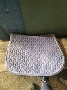 tapis Kentucky