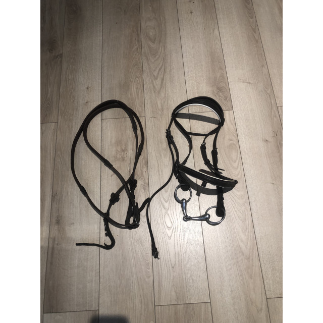 filet complet marron pour poney