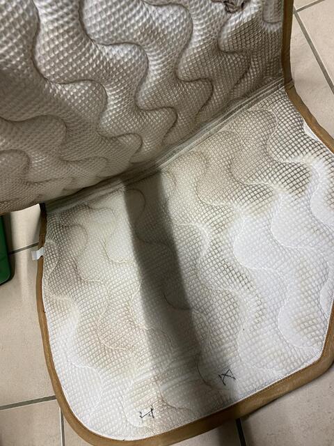 Tapis