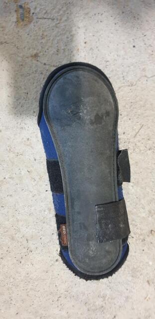 Guêtres de dressage