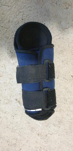Guêtres de dressage