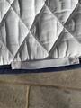 Tapis de dressage blanc