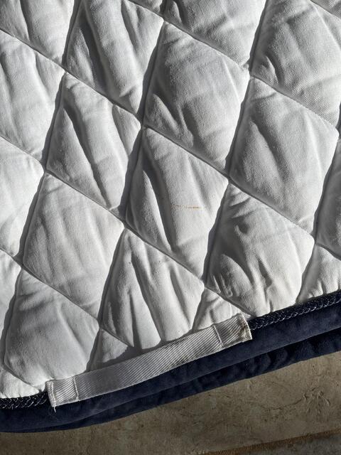 Tapis de dressage blanc