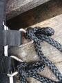 Couvre rein Horseware