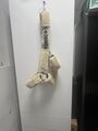 licol, moumoute beige, Norton