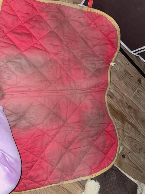 tapis Equitheme