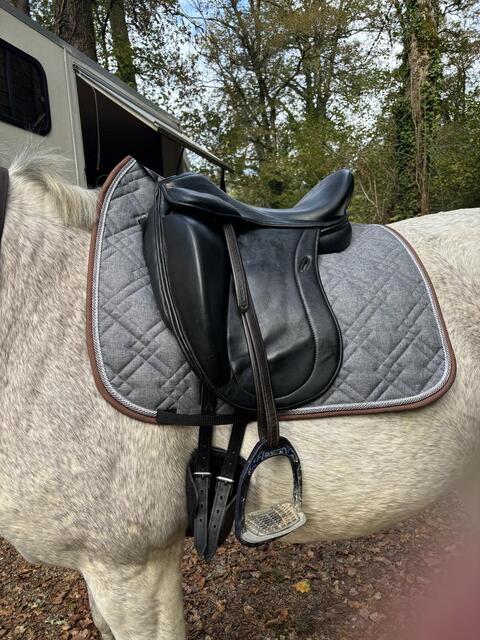 Selle de dressage
