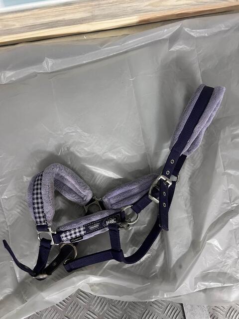 licol mauve violet moumoute