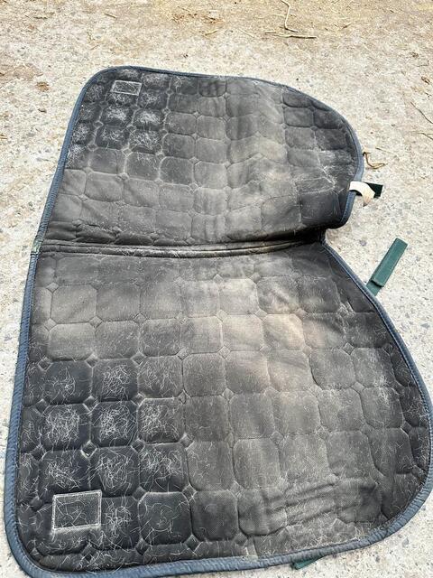 tapis Félix bulher vert