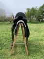 Selle de dressage Childeric