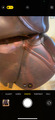 Selle cwd marron 17´
