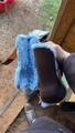 Guêtre taille poney