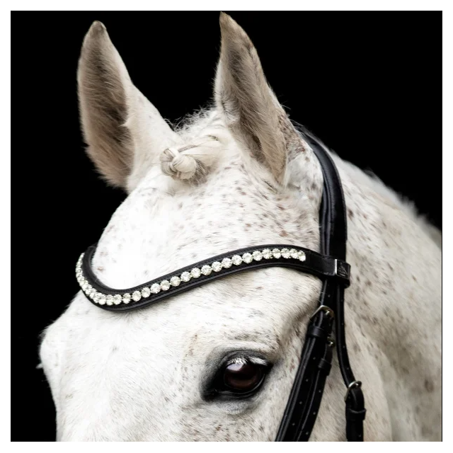 Frontal Cantolar SD Design - Taille cheval