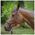 Bridon One New-York noisette Jump'in
