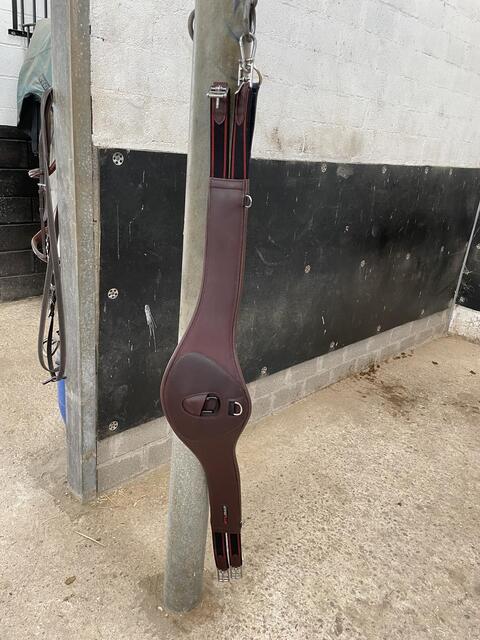 Erreplus Sangle 145cm