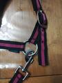 Licol taille poney