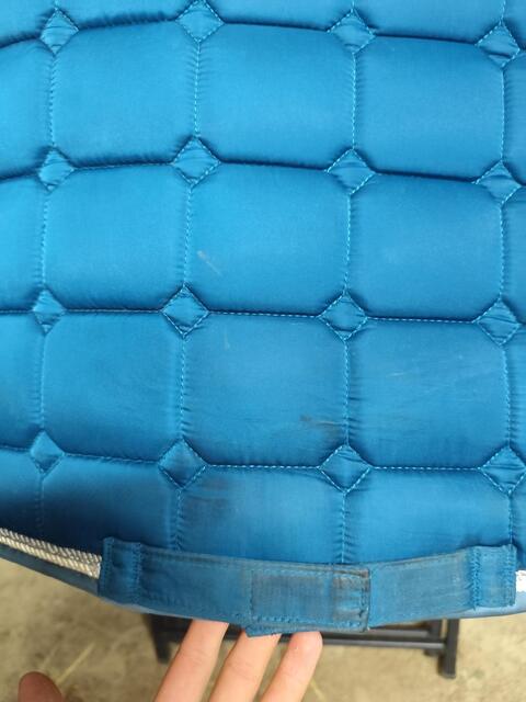 Tapis bleu canard