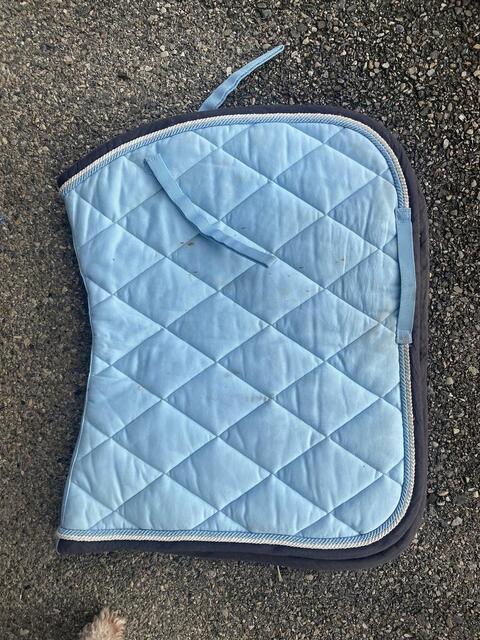tapis de dressage bleu