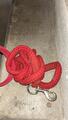 licol et longe rouge fouganza