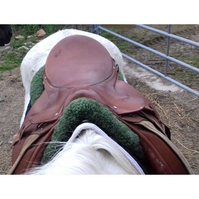 Selle mixte marron claire de marque argentine