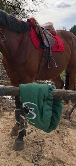 Selle forestier