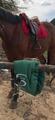 Selle forestier