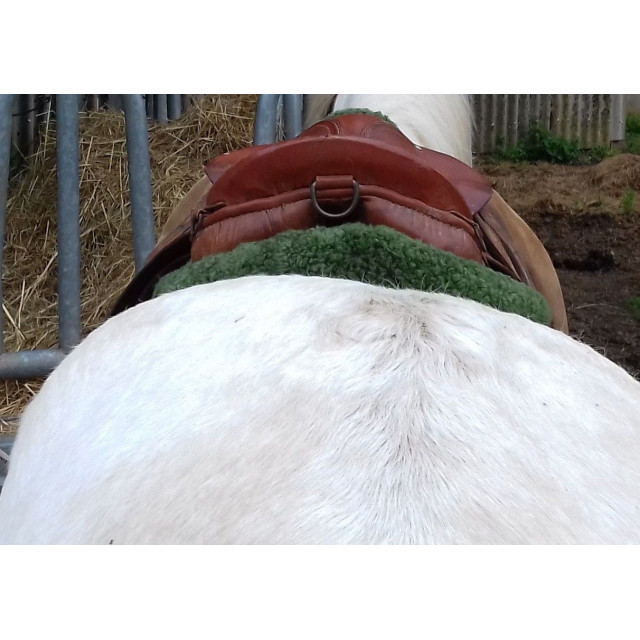 Selle mixte marron claire de marque argentine