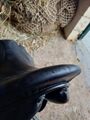 Selle dressage Forestier