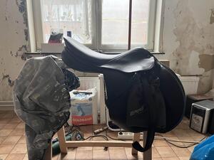 selle stubben s phœnix