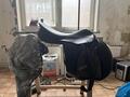 selle stubben s phœnix