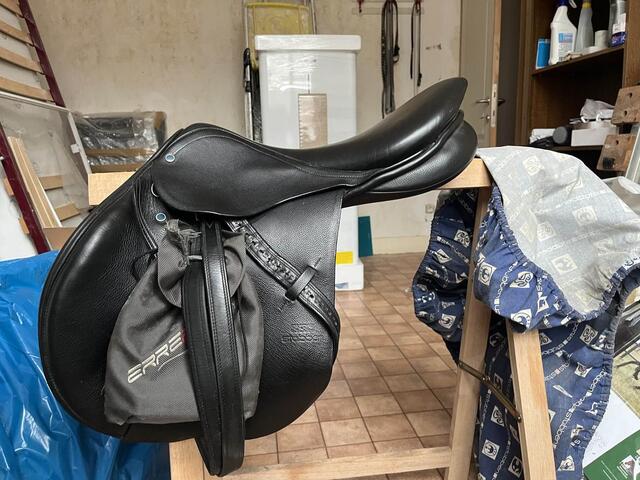 selle stubben s phœnix