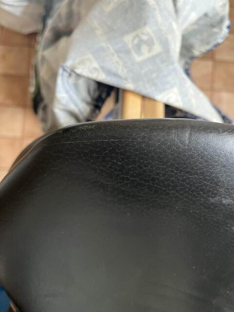 selle stubben s phœnix