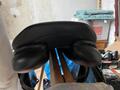 selle stubben s phœnix