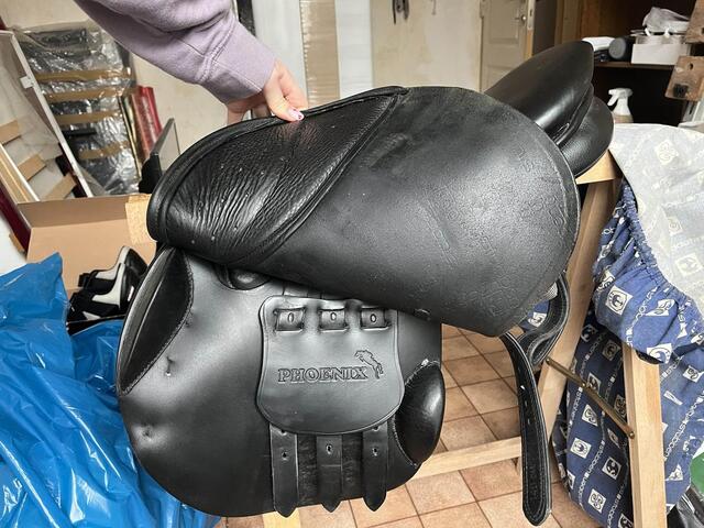 selle stubben s phœnix