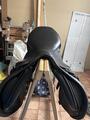 selle stubben s phœnix