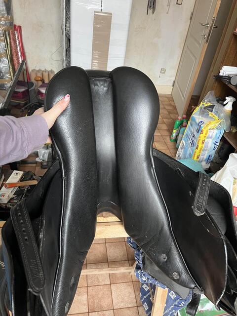 selle stubben s phœnix