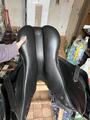 selle stubben s phœnix