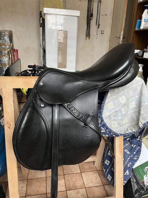 selle stubben s phœnix
