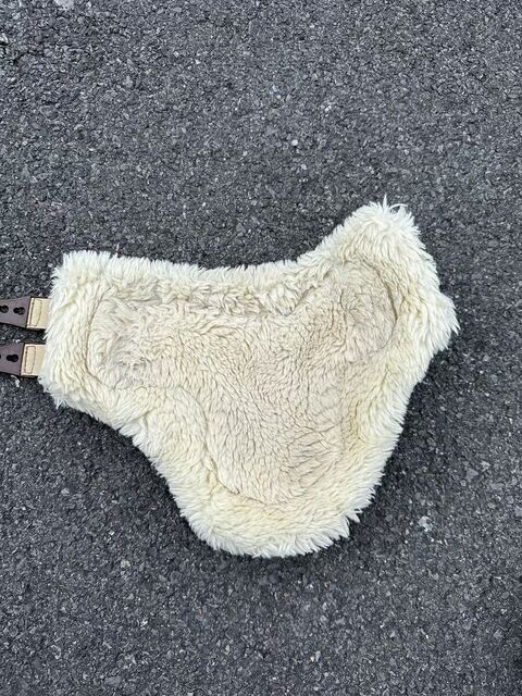 ensemble veredus carbon gel save the sheep