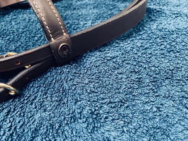 Bridon + rênes HFI master cuir havane poney