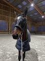 filet dyon taille cheval