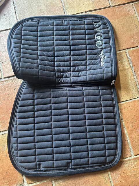 Tapis Equitheme PADD Avignon