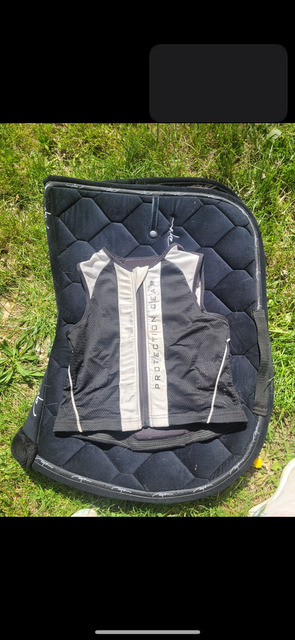 Protection dorsal enfant
