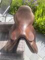 selle obstacle forestier