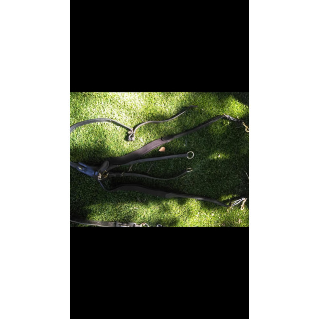 collier de chasse Eric Thomas