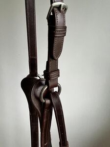 Collier de chasse GBS