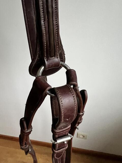 Collier de chasse GBS