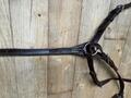 Collier de chasse GBS