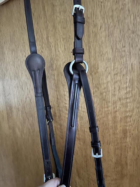 Collier de chasse GBS