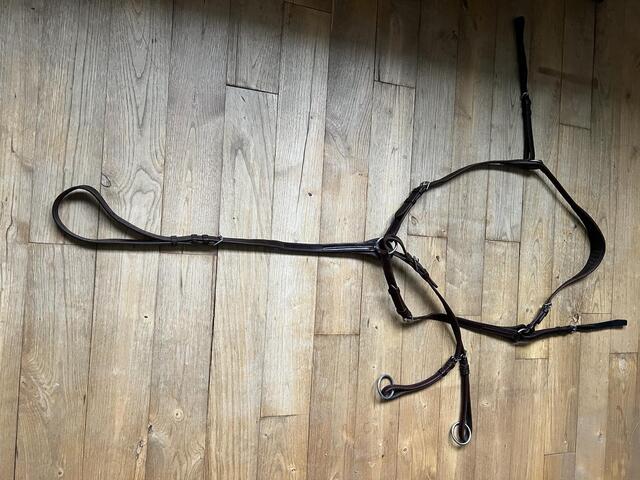Collier de chasse GBS